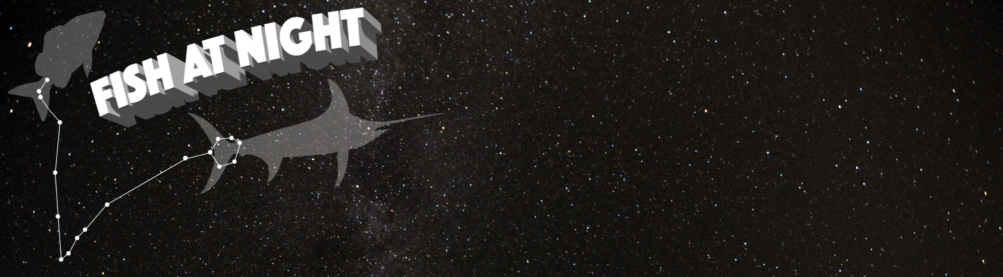 Fish at Night: an international symposium Fish at Night: an international symposium